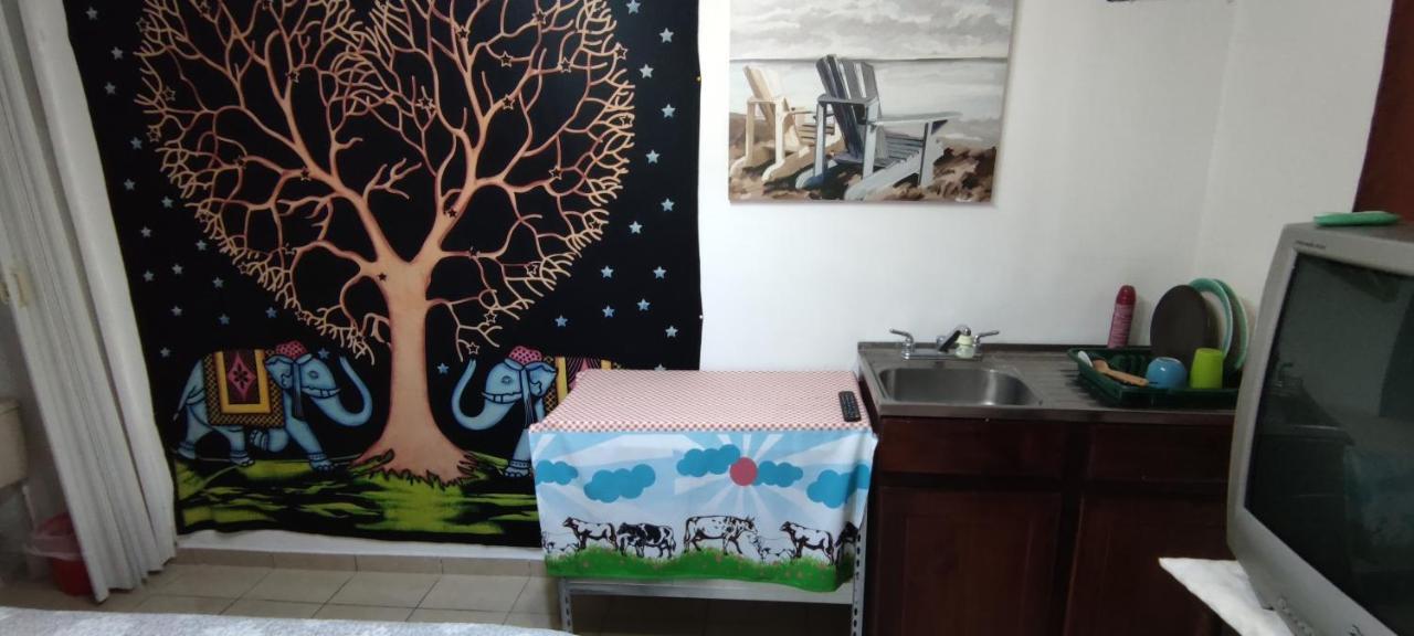Apartament Zorobaru Casa San José Zewnętrze zdjęcie